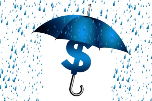 afbeelding dollarteken onder een paraplu in de regen